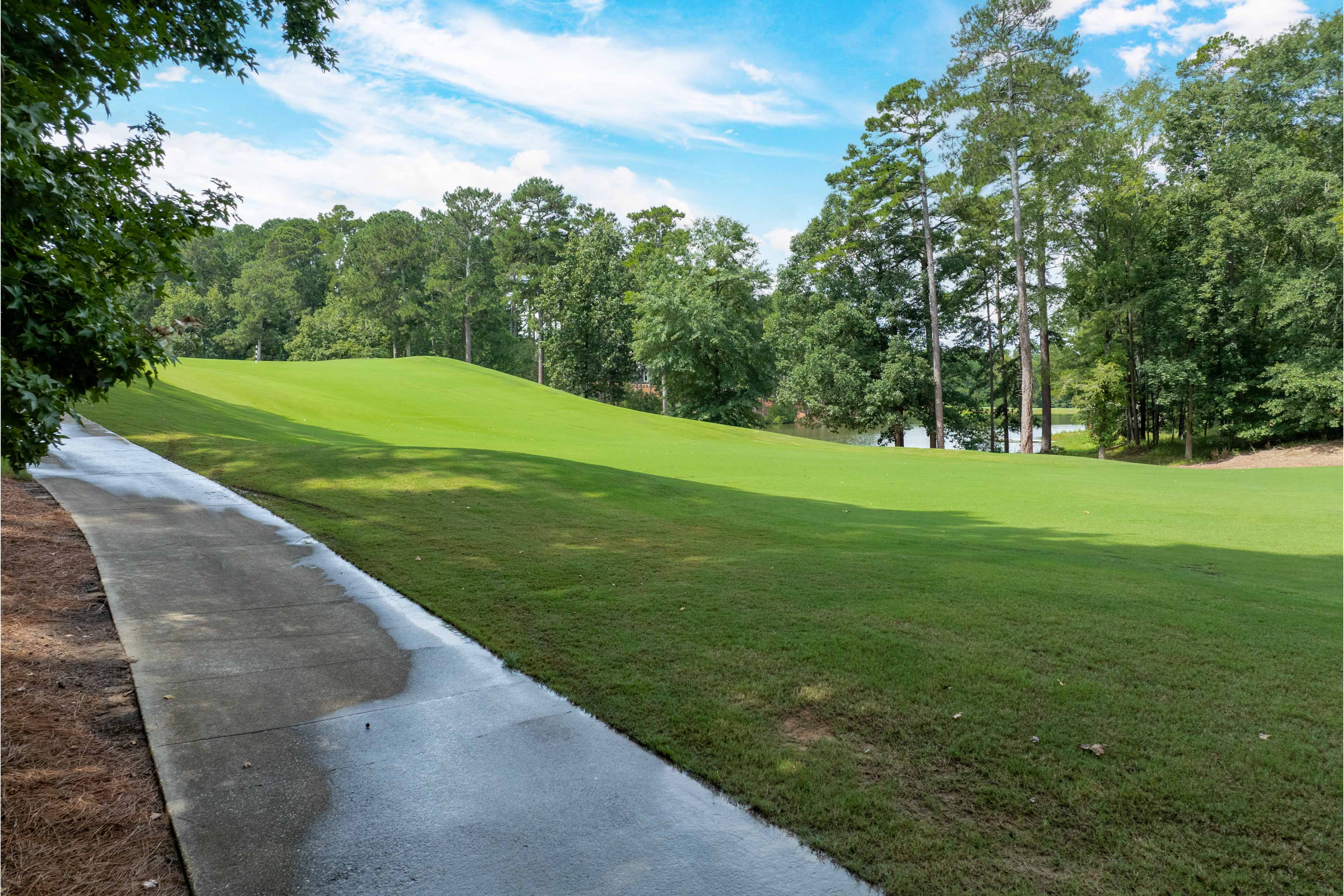 1161 Shoulder Bone Circle image 10